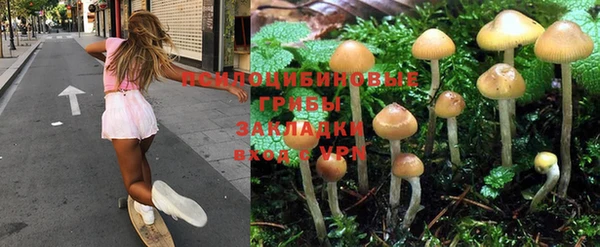 амф Аркадак