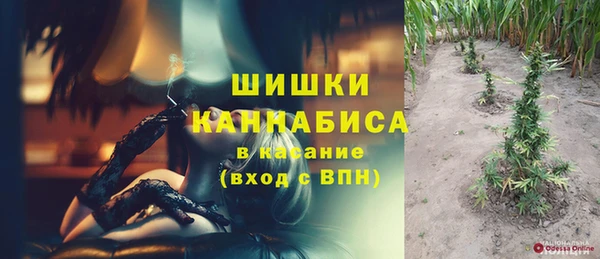 амф Аркадак