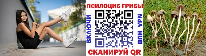 Галлюциногенные грибы MAGIC MUSHROOMS Ивдель
